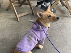 -一尺花园(安和花园店)