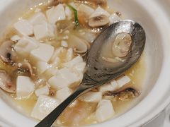 -新吉士·上海菜(浦东LCM置汇旭辉店)