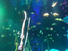 -沈阳海洋探索中心