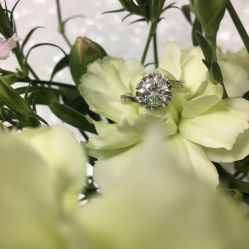 -威德钻石-克拉钻大本营(南京东路店)