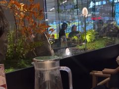 -绿茶餐厅(青岛城阳万象汇店)
