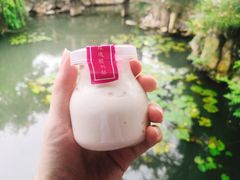 -狐狸家·酸奶酪专门店(平江路店)