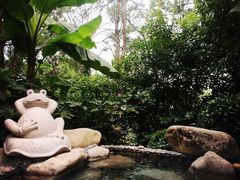 半山温泉-天目湖涵田半山温泉水乐园