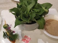 麻酱冰草-伊祥·敦煌楼