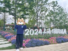 -春花秋色城市公园