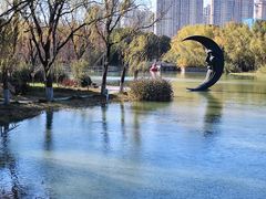 -昆山城市生态森林公园