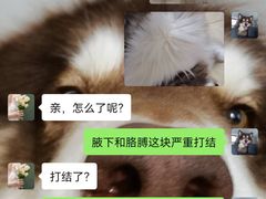-宠物家(长阳店)
