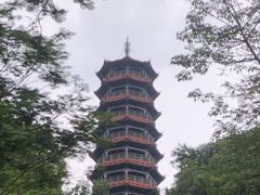 -红花山公园