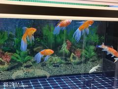 -环球约客烤涮自助(铜锣湾店)