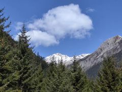 -品大三·经典淮扬菜(大行宫店)