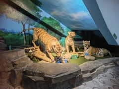 -大连森林动物园