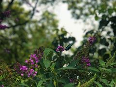 -宝界山林公园