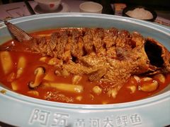 -阿五黄河大鲤鱼(英协路店)