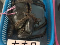 -龙海鲜螃蟹王(宏茂桥店)