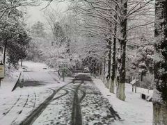 -敬亭山风景名胜区