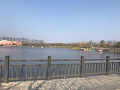 -上海长兴岛郊野公园