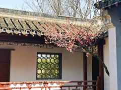 -西溪天堂商业街-停车场