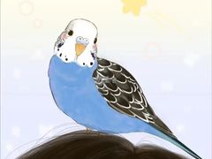 -匠太烧肉台日料理餐酒馆(三林店)