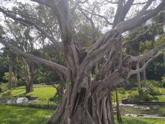 -云溪植物园