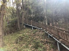 -陕西省红河谷森林公园
