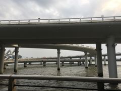 -演武大桥观景平台