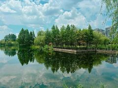 -洋湖国家湿地公园