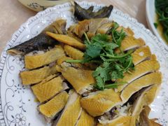姜汁白切鸡-洪霞餐馆