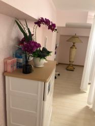 -薇兰专业脱毛连锁机构