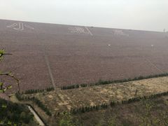 -黄河小浪底水利枢纽风景区