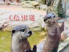 -杭州野生动物世界