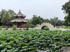 -莲池书院博物馆