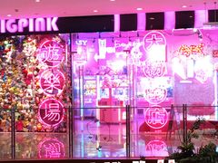 -BIG PINK大粉娃娃机主题馆(圆融星座店)