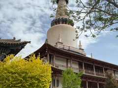 -张掖大佛寺景区