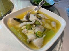 -席家花园(巨鹿花园店)