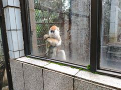 -昆明动物园