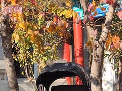 -庐灶江南·江南菜·四合院Bistro(东直门雍和宫·原华侨宾馆店)