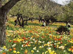 -名花谷生态庄园