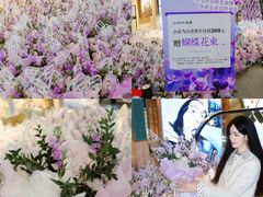 -砂之船奥特莱斯(合肥店)