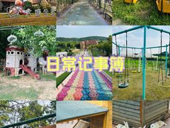 -大塘金香草谷