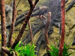 -上海海洋水族馆