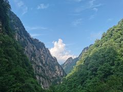 -青峰峡国家森林公园