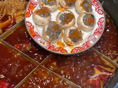 -肥龙火锅(南坪店)