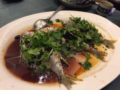 -沙龙酒家