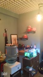 -椿树下·Tattoo纹身工作室