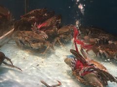 -盒马鲜生(首义店)