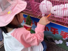 -南昌之星游乐场