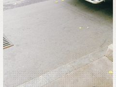-四海蒸鲜蒸汽海鲜自助(北戴河店)