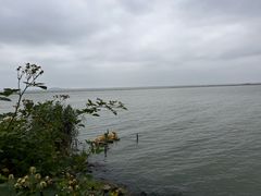 -贡湖湾湿地公园