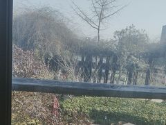 -荷风细雨·中国茶宴(碧云店)