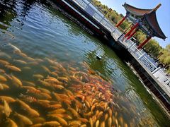 -长春市南湖公园